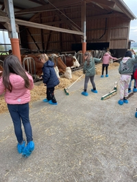 Kinder helfen im Stall