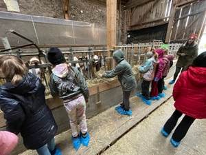 Kinder füttern Kühe im Stall